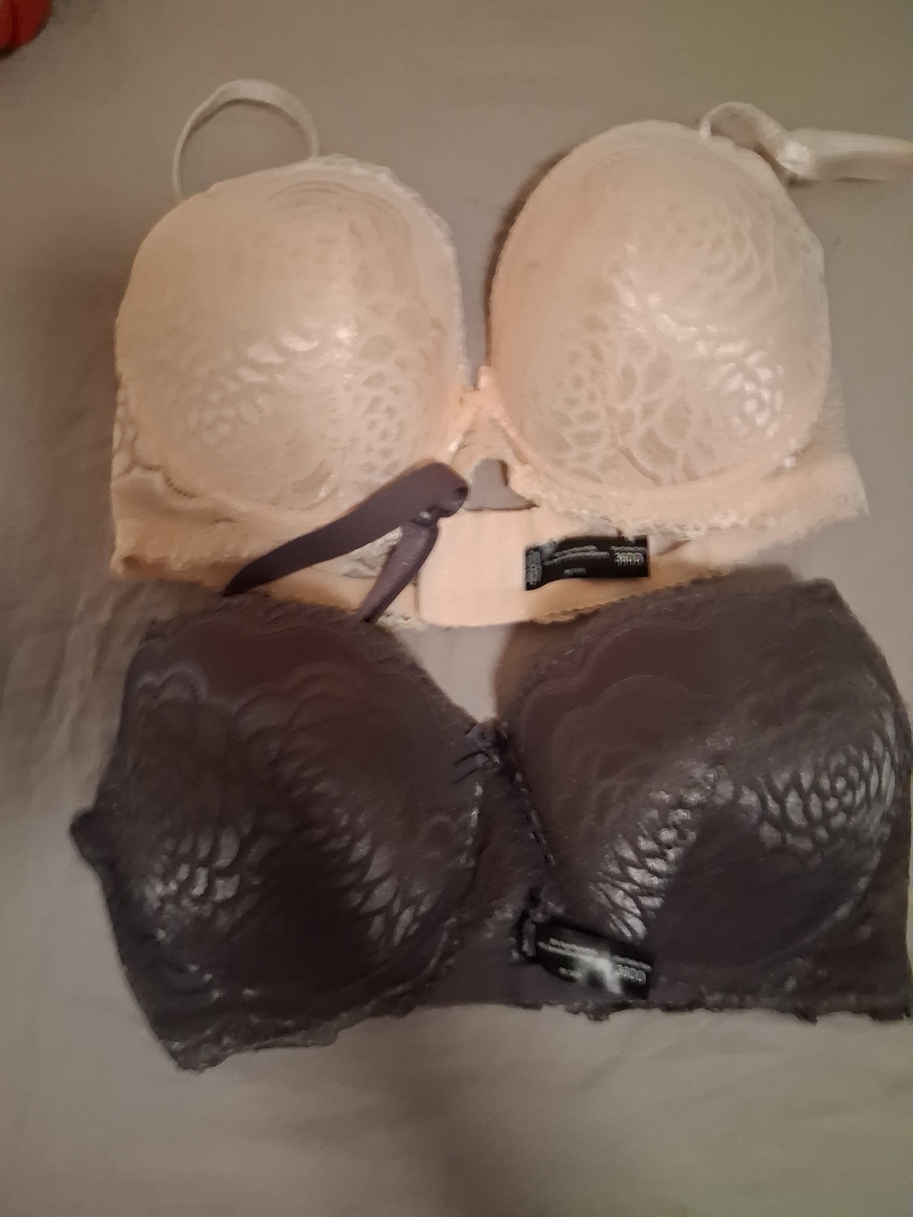 Lace Push-Up Bra in Cream and Charcoal - Women Intimates